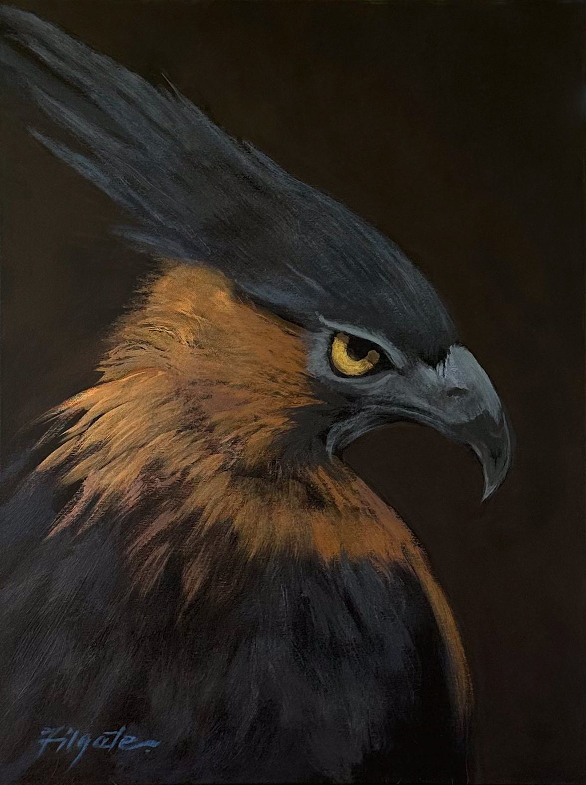 Eagle-hawk.jpg